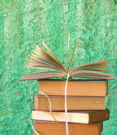 GREEN stack-of-books-picture-id510763467